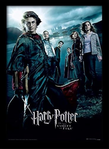 Harry Potter Recuerdos de cáliz, Copa de Fuego, 30 x 40cm
