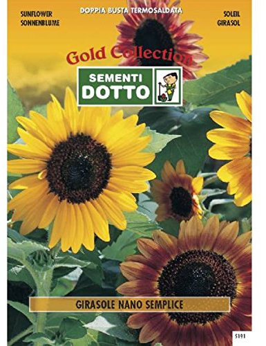 Semi di Girasole Nano Semplice - h cm 60