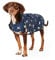 Joules Rosewood Joules Herren-Hundemantel, Antik-Goldmantel, senffarben, Palisander, Marineblau, wasserabweisend, regend, Hundemuster, Marineblau, Größe L