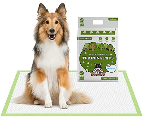 Pogi Tapis éducateurs pour Chiens – écologiques, Ultra absorbants et Anti-odeurs – Paquet de 40 (60 × 90 cm)