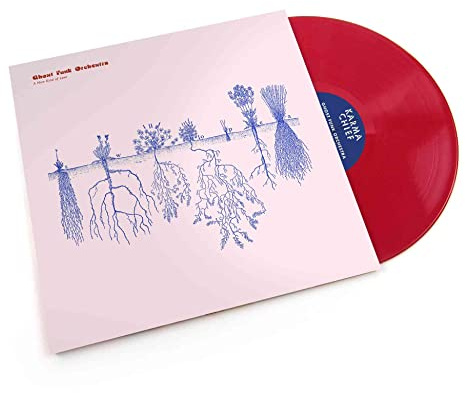 A New Kind of Love (Transparent