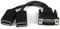 StarTech.com 20cm LFH 59 auf Dual DisplayPort DMS 59 Kabel - DMS-59 auf zweifach DisplayPort Kabeladapter - DMS zu 2x DP Y-Kabel - St/Bu
