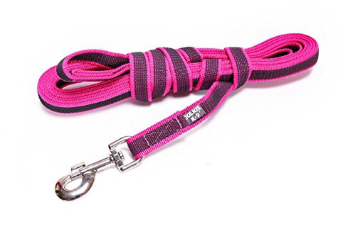 IDC Color & Gray gumierte Leine, 20 mm x 5 m mit Schlaufe, Pink-Grau