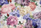 Forwall - Vlies Fototapete Blumen Rosen Pfingstrosen Blüten Romantik 368x254 cm - Fototapeten - Tapeten - für Wohnzimmer Schlafzimmer - Vliestapete Wandtapete Tapete 3D Effekt- inkl. Kleister