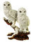 Große Schneeeule auf AST 32cm - Handbemalte Eule Deko Figur - Detailreiche Tierfigur Vogel Uhu Pärchen - Kunststein Polyresin Skulptur - Wohnzimmer Garten Dekoration
