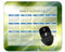 Gaming Mouse Pad 2025 Year Calendar,Color Light Rays Sunny Green Custom Gaming Mouse Pads with Designs