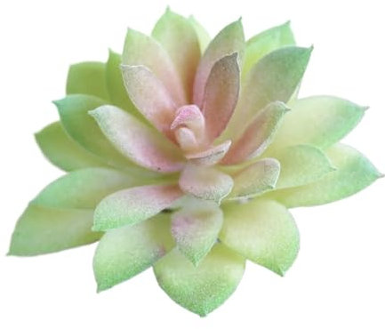 LNNXSZ Mini Künstliche Sukkulenten Pflanzen 3 stücke Grün Rosa Lila Lotus Blume Kopf Künstliche Sukkulenten Pflanzen Weihnachten Hochzeit Party Home Garten Dekoration Gefälschte Pflanzen(Green)