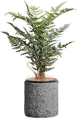 simuliertes Gras Künstlicher Farn-Topf-Bodenbelag gefälschte grüne Pflanzen im grauen Granit-Blumentopf das perfekte Hauswarming-Geschenk for Indoor-Mall-Dekorationen, 37,4 Zoll hoch simuliertes Stroh