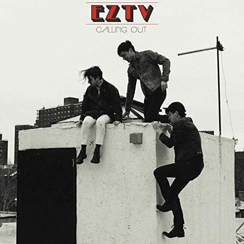 VINYL 17077485