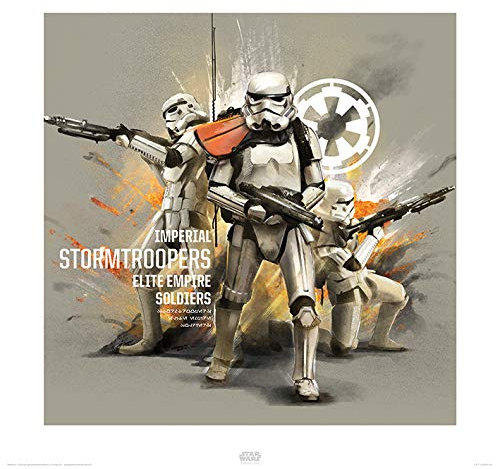 Star Wars Rogue One – Stormroopers Profile – 40 x 40 cm – Foto/Poster