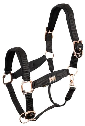 BR Halfter Roségold Cob Schwarz