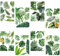 CRASPIRE Feuille Stickers Muraux PVC peu Imperméable Auto-Adhésif Stickers Vert Feuilles Tropicales Naturel Feuille de Palmier Plante Rectangle 8 Feuilles 8 Styles Amovible pour Fenêtre Escalier