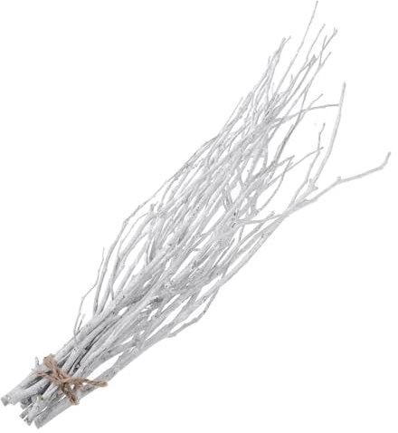 Cabilock 10pezzi Rami Decorativi Bianchi Per Vasi Rametti Secchi Per Decorazioni Fai Da Te Steli Di Legno Naturali Per Arrangiamenti Floreali E Centrotavola Matrimoni Natale E Feste