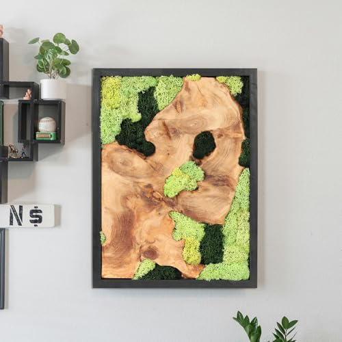 NAHARO Wandkunst, natürliches konserviertes Moos, natürliches Moos und Holz, handgefertigt, rustikaler Charme für Ihr Zuhause, einzigartiger Wandbehang für Wohnzimmer, Schlafzimmer, Büro oder Küche