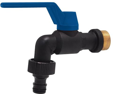 Aqua Control C6372 - Robinet de Jardin, Couleur chromée