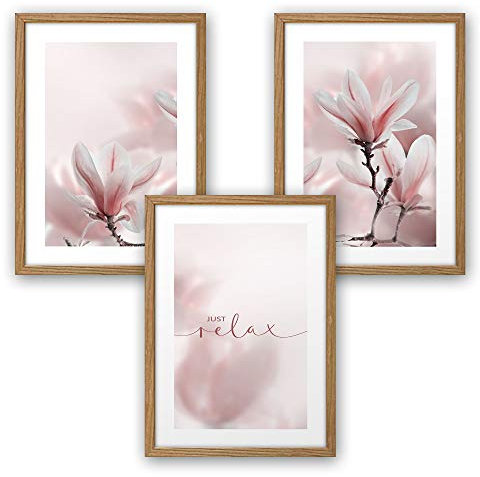 Kreative Feder 3-teiliges Premium Poster-Set | Magnolie | Deko Bild für Ihre Wand | optional mit Rahmen | Wohnzimmer Schlafzimmer Modern Fine Art | DIN A4 / A3 (A4, natur Rahmen)