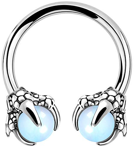 OUFER Body Piercing Horseshoe Earrings Helix Piercing 316L Surgical Steel Helix Earrings Dragon Claws Circular Ring Cartilage Earring Body Piercing Opalite