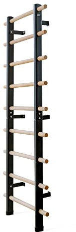DHT - Escalera sueca, barras de pared, barra de suspensión con 9 varillas estratégicas, para fitness, hogar, gimnasio, escuela, clínicas y gimnasia