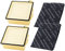 Sparset | 2 Hepa-Filter Mikrofilter | 2 Kohlefilter geeignet für Vorwerk Staubsauger Tiger 260 VT 260 VT260
