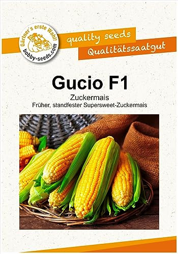 Gemüsesamen Gucio F1 Zuckermais Portion