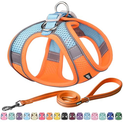AIITLE No Pull Hundegeschirr, Step in einstellbares Hundegeschirr mit gepolsterter Weste, Hundeleine mit weichem gepolstertem Griff, leicht anzulegen für kleine und mittlere Hunde Orange S