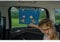 cartrend Sonnenschutz-Rollo HERO,​ schützt vor Hitze und UV-Strahlen, mit Saugnapf, buntes Design für Kinder, 2er Set, blau