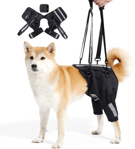 Hunde Aufzugsgeschirr,Tragehilfe,Tragehilfe Hund Treppe,Hundeliftgeschirr Mobilitätshilfen,Hebegeschirr für Mittelgroße Große Hunde Hundehebegeschirr Hundestützgeschirr für die Hinterbeine (XL)