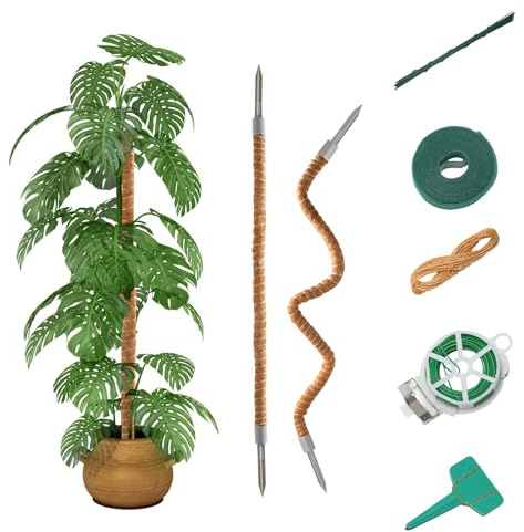 VirtuGro Monstera Lot de 2 tuteurs de plantes d'intérieur flexibles en fibre de coco pour Monstera Tige en coco naturel 60 cm/70 cm/100 cm/120 cm (100 cm + 100 cm)