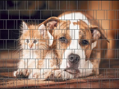 Zaundruck – Sichtschutzstreifen für Doppelstabmattenzaun, Zaunstreifen, Sicht- & Windschutz, wetterfest & UV-beständig, Rolle, PVC frei (Hund & Katze)