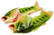 Pesce Forma Spiaggia al Coperto Pantofole Unisex Bagno Slittata Indossare Accogliente Scarpe Creativi Bambini Divertente personalità Animale Sandali（Verde,46/47 EU