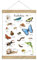 fioniony DIN A3 Poster Kunstdruck UNGERAHMT, OHNE HOLZLEISTE Krabbeltiere weiß Insekten Tierposter Lernposter Schulanfang 1. Klasse Kinderzimmer Weihnachtsdeko Bilder Wald Kindergarten