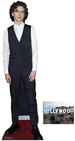 BundleZ-4-FanZ Timothee Chalamet Mini-Karton-Ausschnitt-Fanpackung, 89 cm x 26 cm, inklusive Foto der Größe 8 x 10 cm