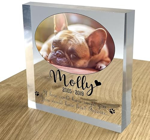 TULLUN Personalisierte Individuelle Benutzerdefinierte Haustier Denkmal Hund Katze Tier Acryl Kristall Klar Block 3D Effekt Plaque Plakette Foto Text Name Datum - Ovales Foto