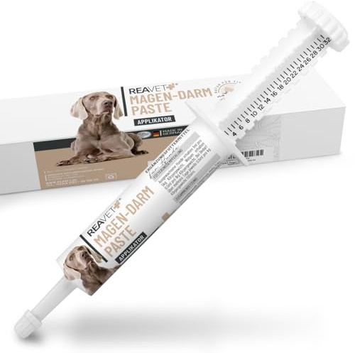 ReaVET Magen-Darm Paste für Hunde 30ml (ehem. Diar Stop Paste) I Zur Unterstützung der Verdauung – Mit wichtigen Elektrolyten und probiotischer Hefe