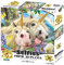 Howard Robinson HR10990 Unicorn selfie 3D Effect Jigsaw Puzzle, Multicolour