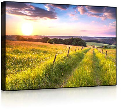 lightbox multicolor | Wandbild beleuchtet | Wunderschöne Bergwiese im Sonnenaufgang | 100x70 cm | Front Lighted