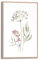 REINDERS Gerahmtes Bild, Aqua Flowers, Wohnzimmer, Poster, Wanddeko, Room Decor, MDF, Grün, 30x20cm