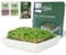 Green SEEDS® Passoire à cresson - 1 pièce - Passoire en acier inoxydable avec bol en céramique de qualité supérieure - Bol de culture 14 x 14 cm - Passe au lave-vaisselle et inoxydable - Avec échelons
