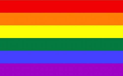 Qualitäts Fahne Flagge Regenbogen Rainbow 90 x 150 cm mit verstärktem Hissband