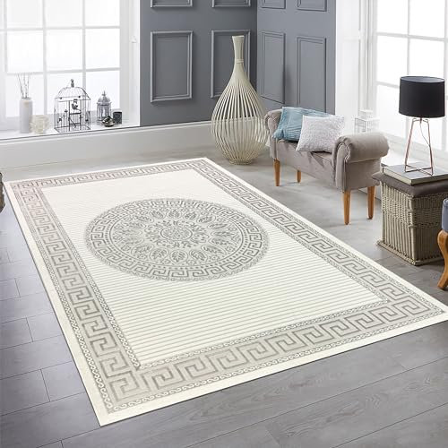 Teppich-Traum Wohnzimmer Schlafzimmer Teppich groß XXL Kurzflor Designerteppich modern edel elegant glänzend Creme grau 240x340 cm