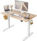 FEZIBO Schreibtisch Höhenverstellbar Elektrisch, 100 x 60 cm Steh-Sitz Tisch, Verstellbarer Stehpult mit Memory-Steuerung, Ergonomischer Computertisch Homeoffice, Gefleckte Eichenholzfurnier