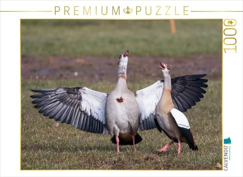 CALVENDO Puzzle Balzende Nilgänse | 1000 Teile Lege-Größe 64 x 48 cm Foto-Puzzle für glückliche Stunden