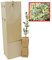 Wilder Ölbaum | Wilder Olivenbaum | Olivenstrauch | Junger Trieb, 30 cm, in einer wiederverwendbaren Holzkiste | 1 Einheit