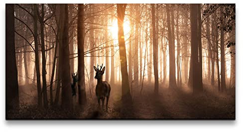 Paul Sinus Leinwandbild 120x60cm Rehe Wald Sonnenstrahl Bäume Natur Stille