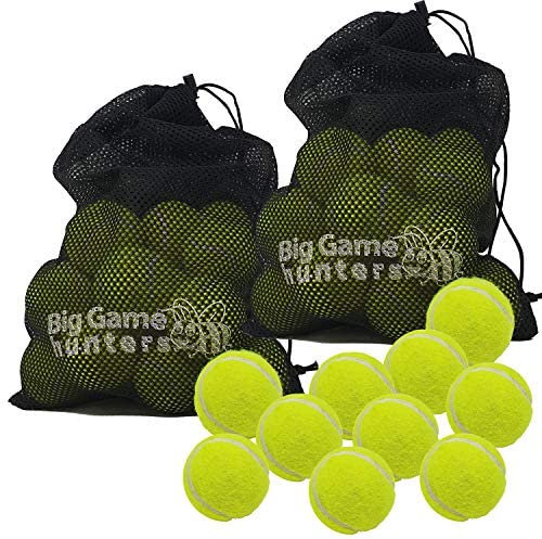 Big Game Hunters Interactive Tennis Ball Pack - 40 Yellow Balls for Puppies - Indestructible Teething Toy