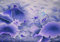 wandmotiv24 Fototapete Violett Blumen Holzblätter, 200 x 140cm - selbstklebende Vliestapete 150g, Wanddeko, Wandbild, Wandtapete, M5652
