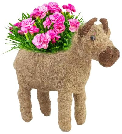 Pot de fleurs en rotin créatif pour grasses - Décoration extérieure - Petits pots de fleurs de cactus - Pot de fleurs pour pépinière