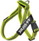 Julius-K9, IDC® Color & Gray® Beltgeschirr