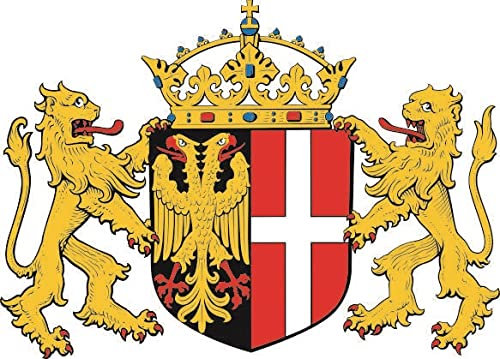 U24 Aufkleber Neuss Wappen 30 x 20 cm Autoaufkleber Sticker Konturschnitt