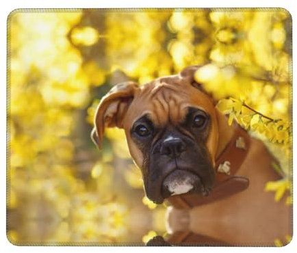 FAIRAH Mauspad mit niedlichem Hundemotiv, rutschfest, rutschfest, verschleißfest, angenehm anzufassen